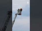 Firefighters rescue tourist from Leaning Tower of Pisa