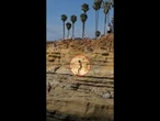 Teenager hits rocks while cliff jumping