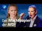 Internes AfD-Papier: So will Alice Weidel ins Kanzleramt