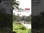 An elephant trampled a man who startled it with a camera flash #shorts #foxnews #animals