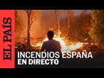 DIRECTO | Incendios en España: Bomberos y voluntarios trabajan para frenar las llamas en Ourense
