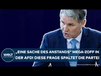 DEUTSCHLAND: Mega-Zoff bei der AFD! Diese Frage spaltet jetzt die Weidel-Partei