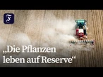 Anhaltende Trockenheit setzt deutschen Landwirten zu