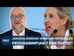 NRW AFD: Alice Weidel – Bündnis mit völkischem Lager! Radikalisierung wird zentral in der Partei