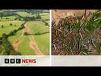 What happens when you set a river free? | BBC News