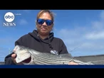 Woman survives being pulled into ocean by 'sneaker wave'