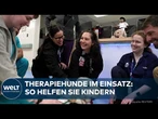 THERAPIEHUNDE IN NEW YORK: Wie Klinik-Hunde kranken Kindern mit schweren Erkrankungen helfen