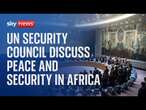 Watch live: UN Security Council meets to discuss peace and security in Africa