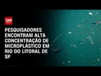 Litoral de SP tem um dos rios mais poluídos do mundo | CNN PRIME TIME