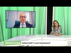 Cellule CAR-T: come funzionano?