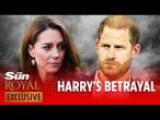 Prince Harry rubbished Kate and did it for money he didn't even need - he won't be easily forgiven