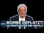 LANDTAGSWAHL IN BRANDENBURG: FDP-Ergebnis kaum messbar! Jetzt wird Kubicki zum Thema Ampel deutlich