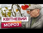 НЕБЕЗПЕЧНА ВЕСНА  -12 зламали надії на врожай - ОСЬ, що відомо