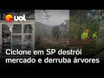 Ciclone em SP: ventania destrói mercado e derruba árvores no litoral paulista; veja vídeos