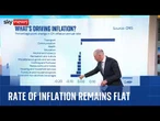 Rate of inflation remains flat despite expectations: What's behind it?