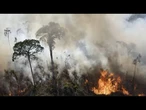 Área devastada por incêndios na Amazônia Legal caiu 65% em julho | AFP