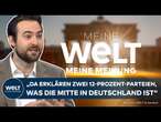 WELT MEINUNG: Merz-CDU, Grünen und SPD im Machtkampf – Kubicki entsetzt über FDP-Zerfallserscheinung