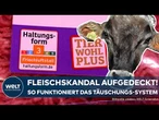 NORDRHEIN-WESTFALEN: Haltungsform-Betrug! Fleisch-Skandal erschüttert Raiffeisen Viehzentrale!