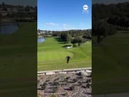 No injuries after small plane crashes onto golf course in Australia