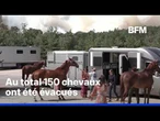Le centre équestre du Grand Parquet à Fontainebleau a été évacué dans l'urgence