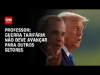 Guerra tarifária não deve avançar para outros setores, diz professor | AGORA CNN