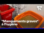 "Manquements graves à l'hygiène": un restaurant Burger King contraint de fermer en Franche-Comté