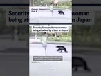Security footage shows a woman being attacked by a bear in Japan