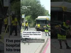 Five people injured after Dallas bus hits tree
