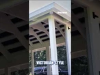 JD Vance debuts chicken coop at Naval Observatory #shorts #us #news #foxnews #jdvance