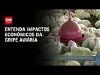 Brasil pode deixar de exportar R$ 1,6 bi em frango por mês com suspensões | CNN 360º