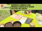 COP30: Fábrica em Belém produz chocolate desde cultivo do cacau | LIVE CNN