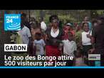 Gabon : le zoo des Bongo attire 500 visiteurs par jour • FRANCE 24