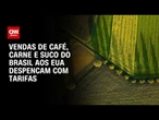 Vendas de setores do agro aos EUA já despencam antes de tarifas de 50% | LIVE CNN