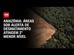Áreas na Amazônia sob alerta de desmatamento atingem 2° menor nível | CNN NOVO DIA