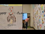Sensação na internet, macaco Punch comemora seu primeiro aniversário | AFP