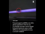 Brutta sorpresa a bordo: “Ho filmato un topo in aereo”. La compagnia chiede dettagli