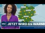 FRÜHLINGSWETTER IN DEUTSCHLAND: Kaum zu glauben – In diesen Regionen werden 20 Grad geknackt!