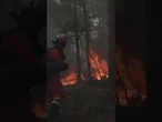 Firefighters battle Spain’s biggest wildfire of 2026