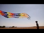 La côte de la mer Noire en Bulgarie accueille un festival annuel de cerfs-volants