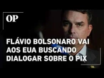 Flávio Bolsonaro vai aos EUA buscando dialogar sobre o Pix em meio a debate sobre tarifas