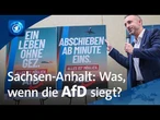 Landtagswahl Anfang September: Was passiert, wenn die AfD in Sachsen-Anhalt siegt?