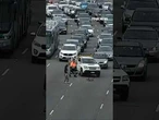 WATCH: Ducks cause major traffic jam on four-lane highway #foxnews #news #shorts