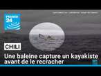 Frayeur en mer : une baleine capture un kayakiste avant de le recracher • FRANCE 24