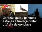 Conclave: 1º dia da escolha de novo papa tem cardeal 'gato', gaivotas estrelas e fumaça preta