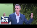 The Democratic Party is getting HIJACKED: Expert