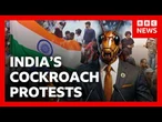 India’s ‘cockroach’ protests explained and what happens next | BBC News