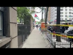 Bandiere Palestina sventolate per le vie di New York da un gruppo di attivisti