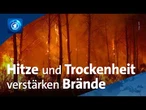 „Das alles ist verbrannt“ – Betroffene über die Waldbrand-Katastrophe