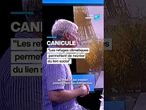 Canicule : "les refuges climatiques permettent de recréer du lien social" • FRANCE 24