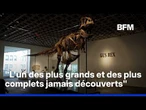 Vendu à 50 millions de dollars, ce T-Rex devient le plus cher de tous les temps